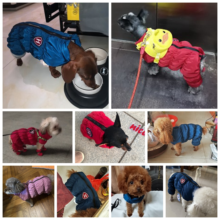 Zipper Snow Unisex Dog Waterpr - Winter Clothing For Babies recension och pris